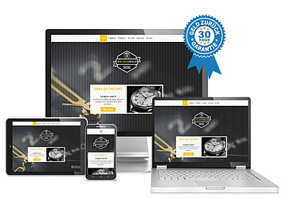 Responsive Website erstellen mit dem Domaintechnik® Homepage Baukasten