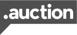 .auction Domain registrieren