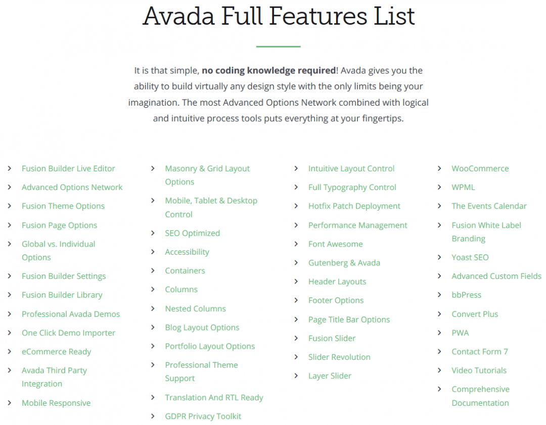 Beim Avada Theme stehen besonders viele Features zur Verfügung.
