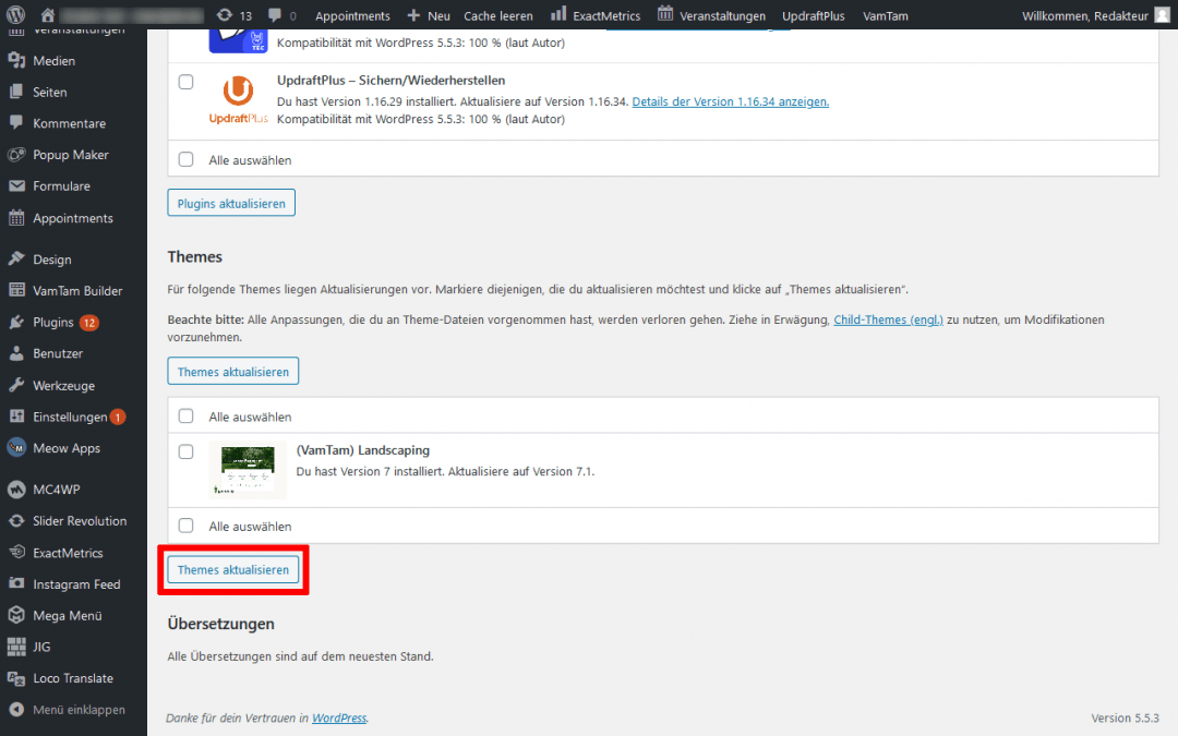 WordPress Themes aktualisieren