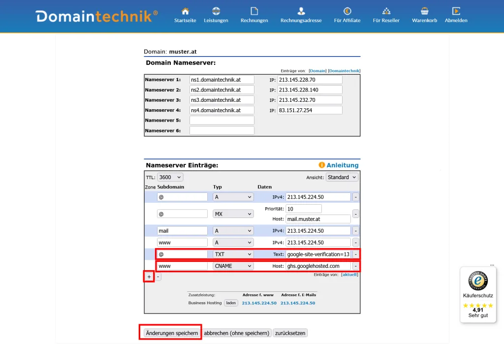 Google Sites DNS Einträge einfügen