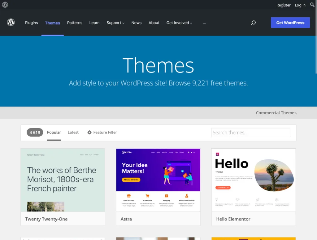 WordPress Themes